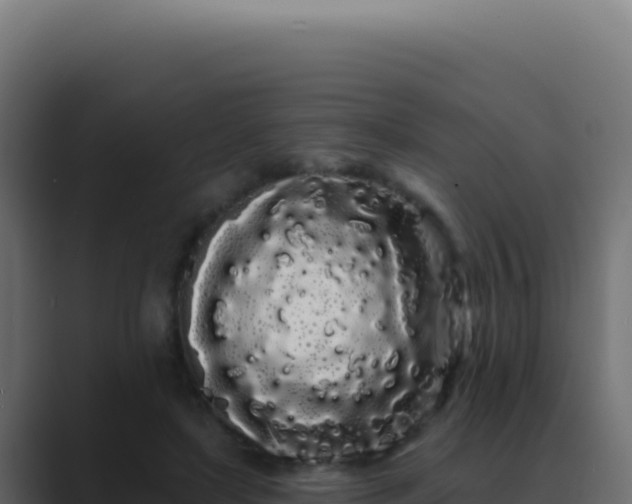 X0000089760451200706281647