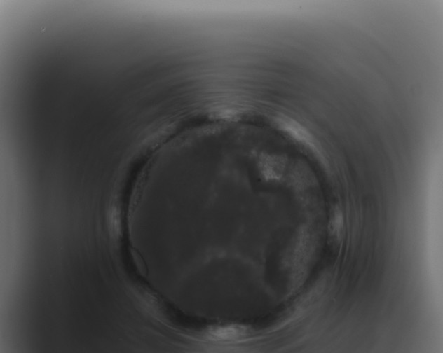 X0000089760452200706281647