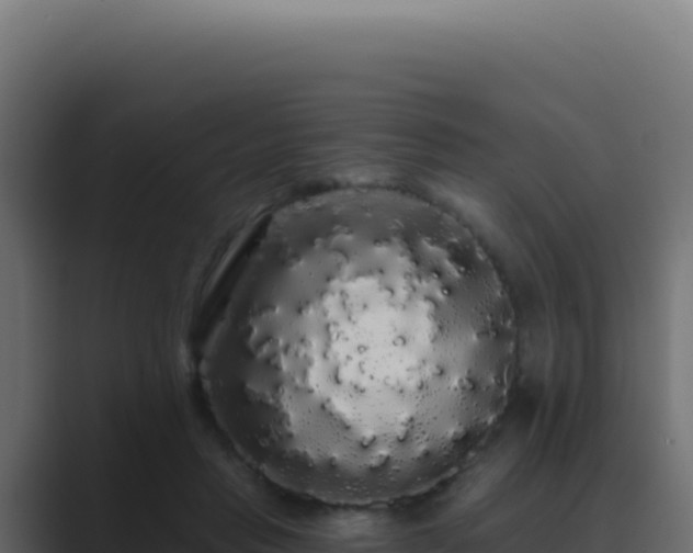 X0000089760453200706281647