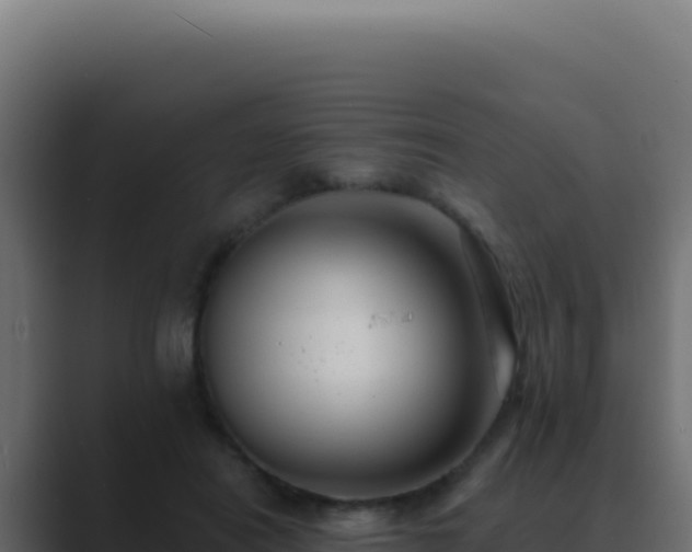 X0000089760454200706281647