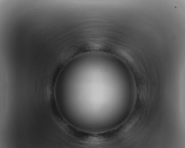 X0000089760455200706281647