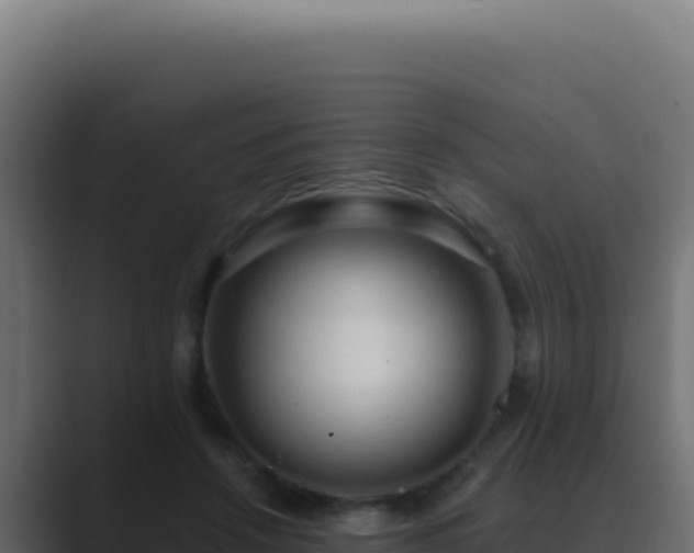 X0000089760456200706281647