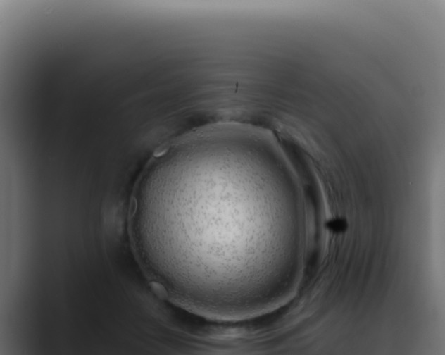 X0000089760458200706281647