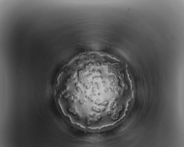 X0000089760459200706281647