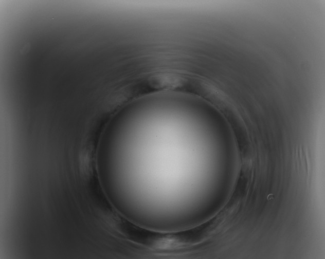 X0000089760460200706281647