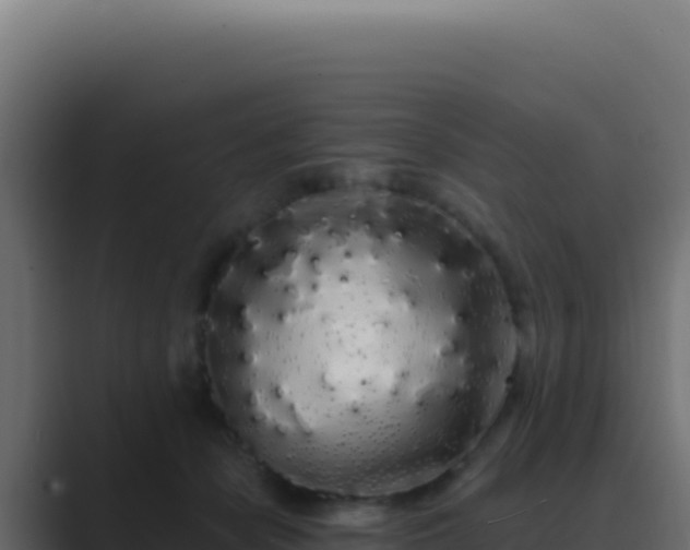 X0000089760462200706281647