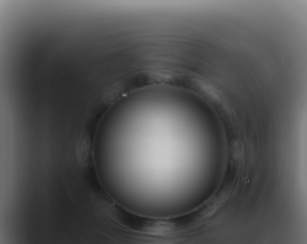 X0000089760463200706281647