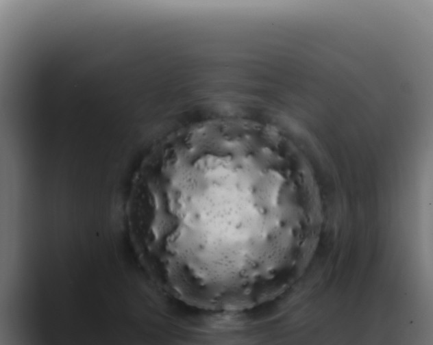 X0000089760465200706281647