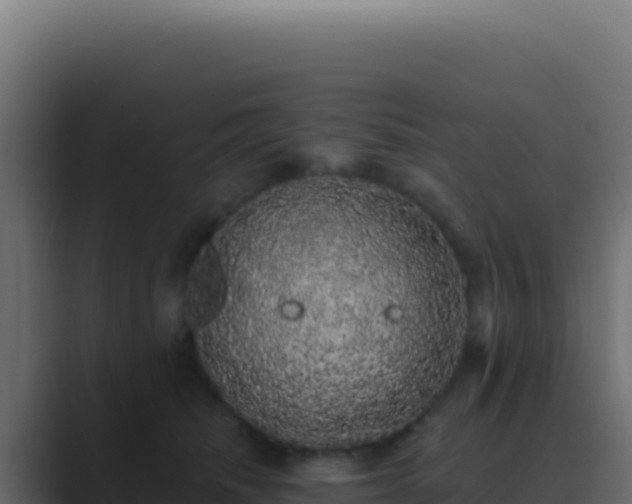 X0000089760468200706281647