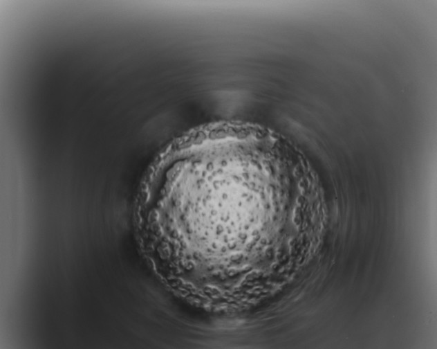 X0000089760470200706281647