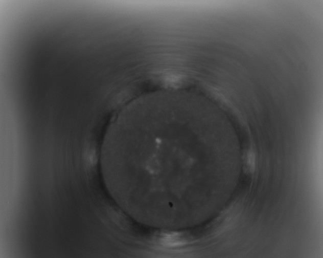 X0000089760472200706281647