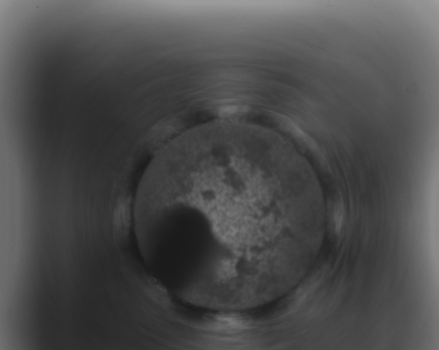 X0000089760475200706281647