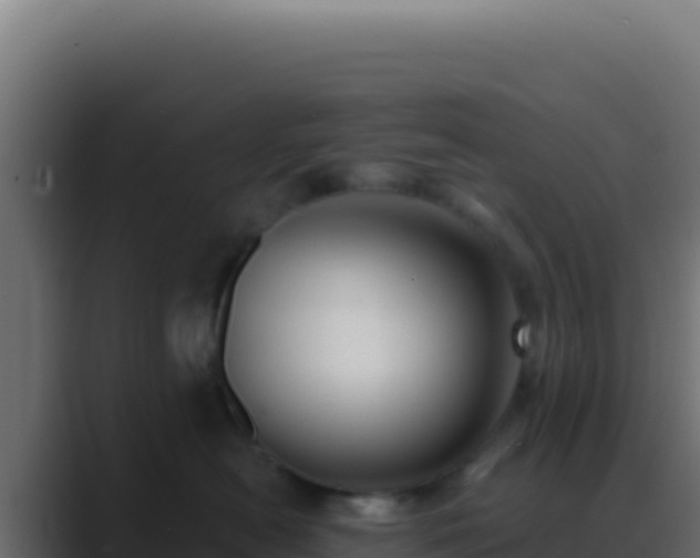 X0000089760478200706281647