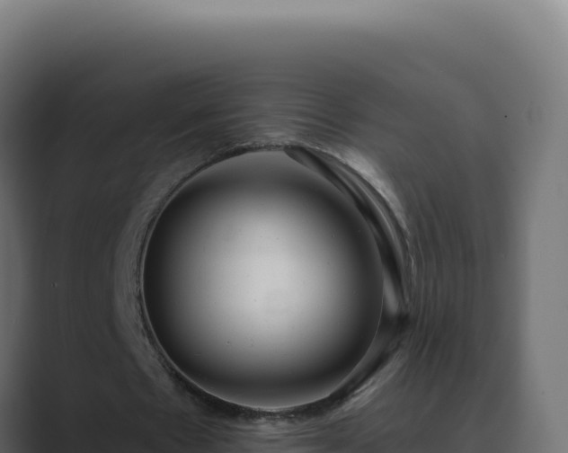 X0000089760481200706281646