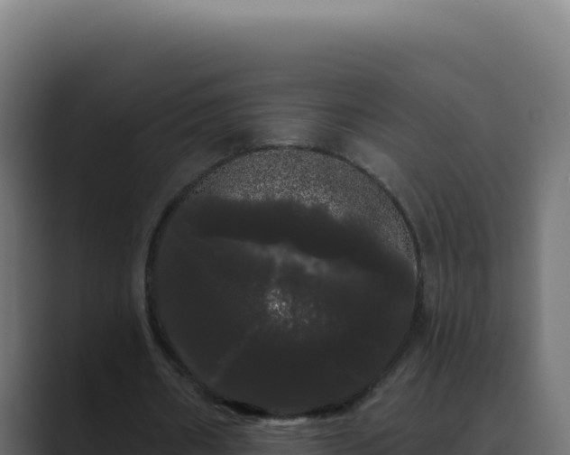 X0000089760482200706281646