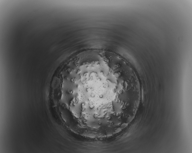 X0000089760483200706281646