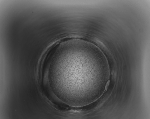 X0000089760484200706281646