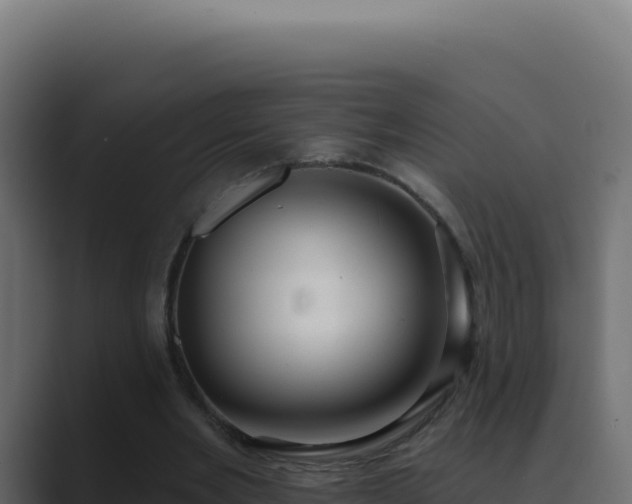 X0000089760485200706281646