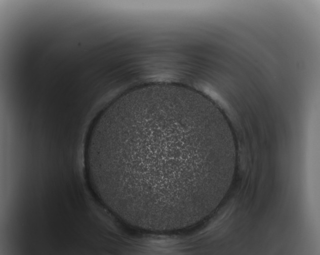 X0000089760486200706281646