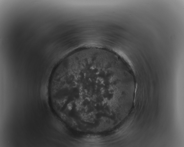 X0000089760487200706281646