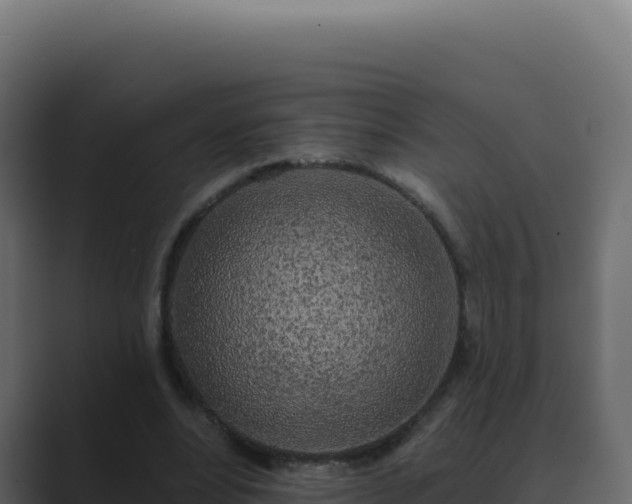 X0000089760488200706281646