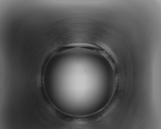 X0000089760489200706281646