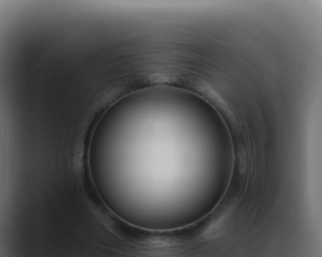 X0000089760490200706281646