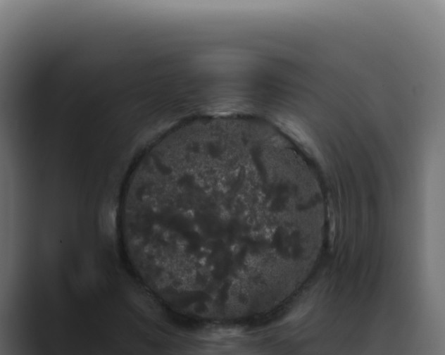 X0000089760491200706281646