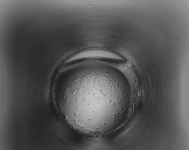 X0000089760492200706281646