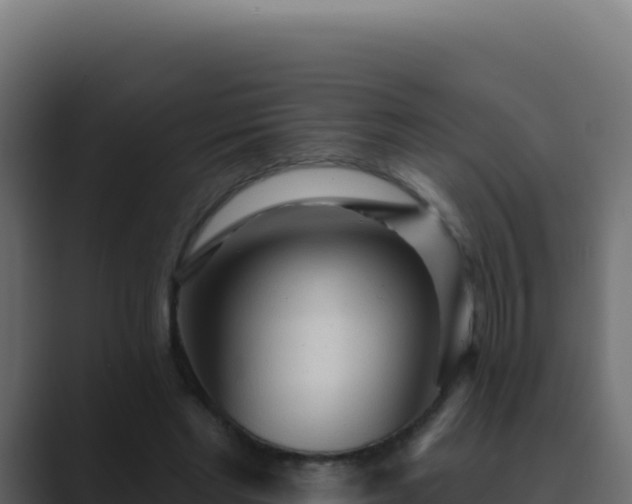 X0000089760493200706281646