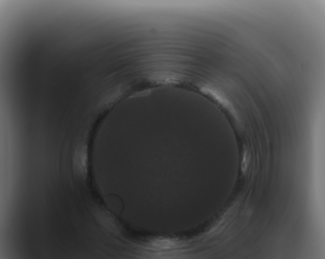 X0000089760494200706281646