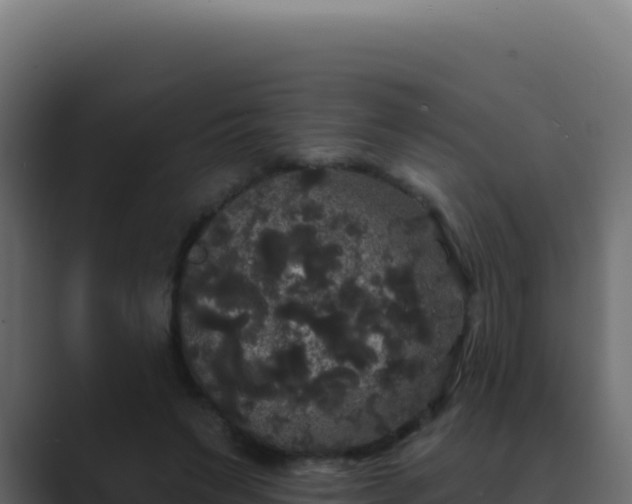 X0000089760495200706281646