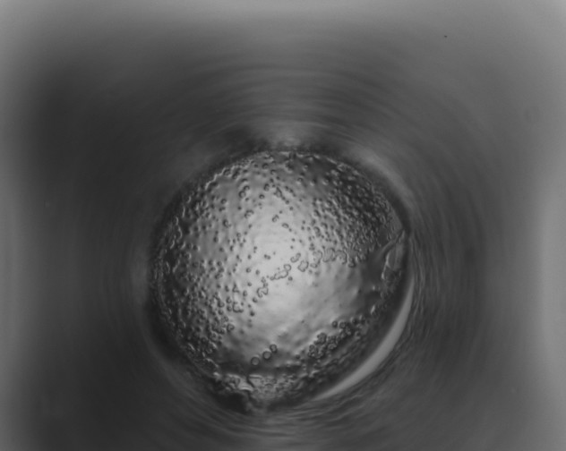 X0000089760496200706281646