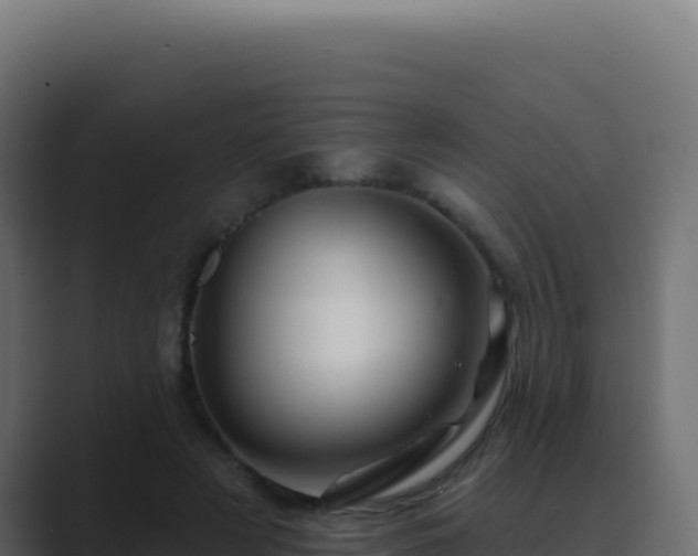 X0000089760497200706281646