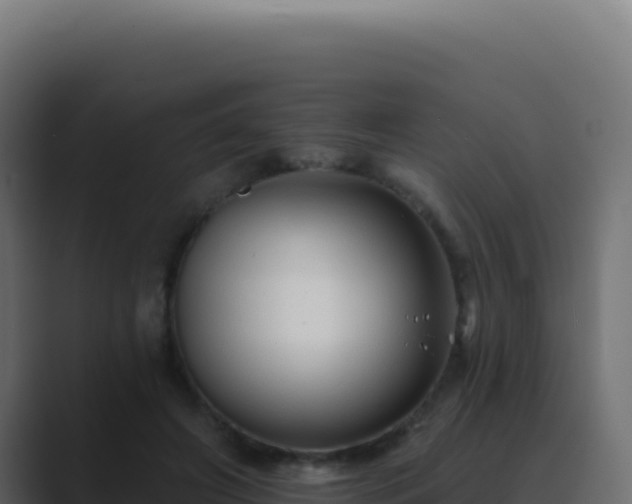 X0000089760498200706281646