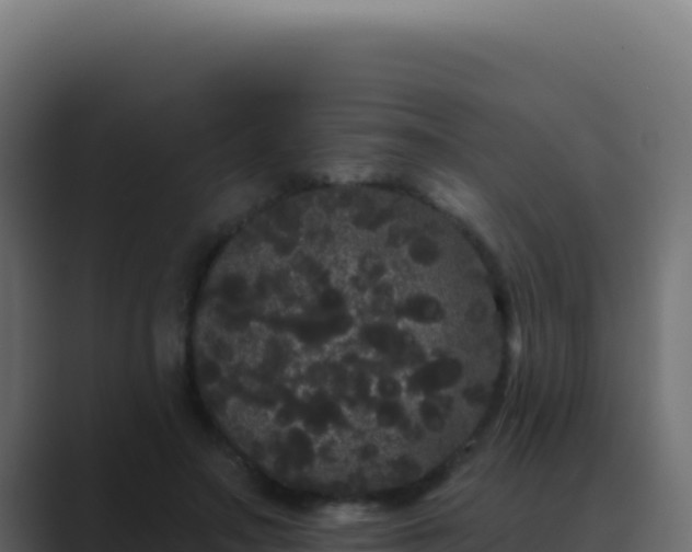 X0000089760499200706281646