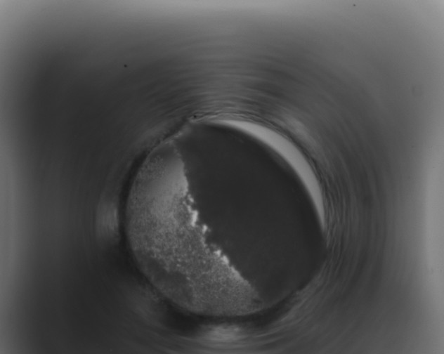 X0000089760500200706281646