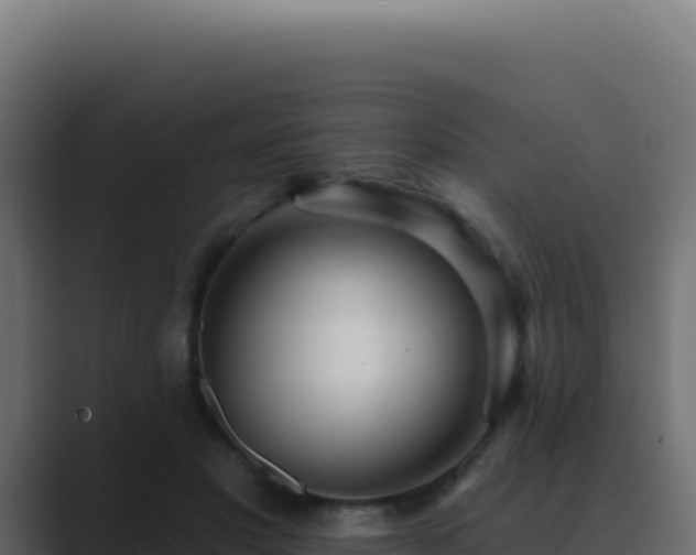 X0000089760501200706281646