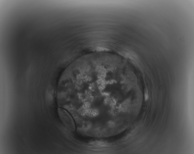 X0000089760503200706281646