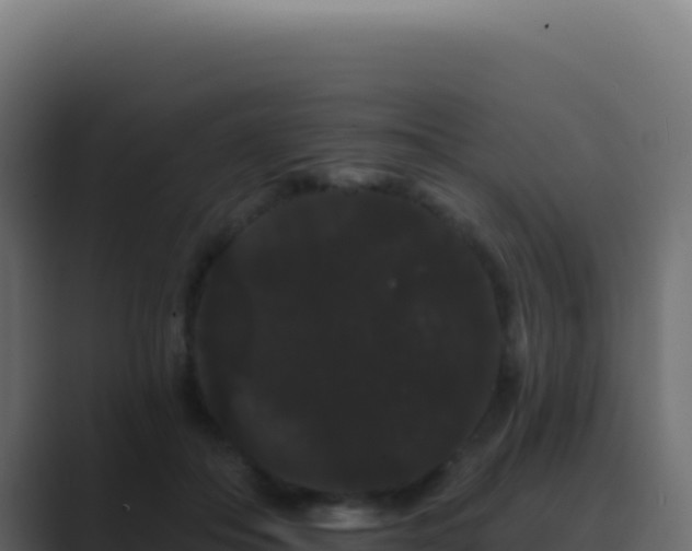 X0000089760506200706281646