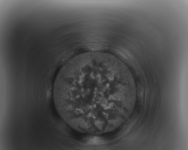 X0000089760507200706281646