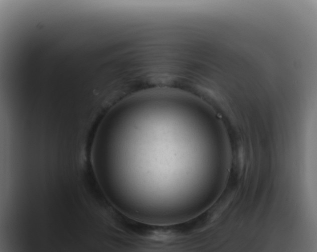 X0000089760508200706281646