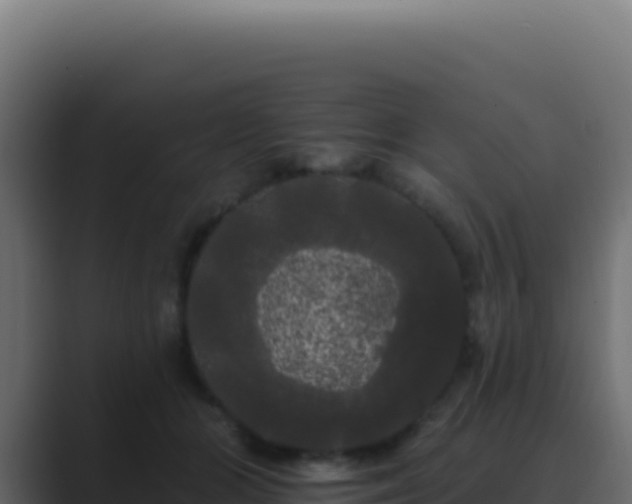 X0000089760510200706281646