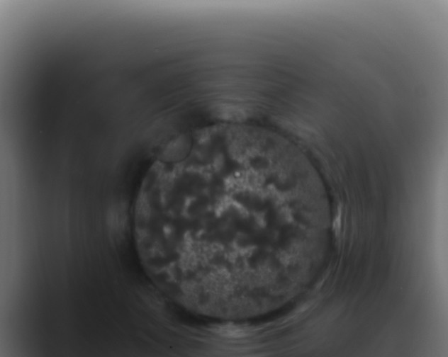 X0000089760511200706281646