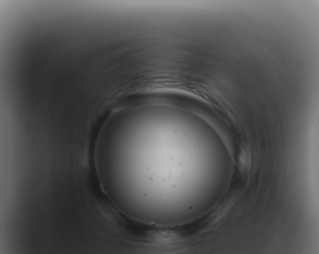 X0000089760512200706281646