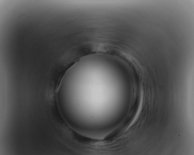 X0000089760513200706281646