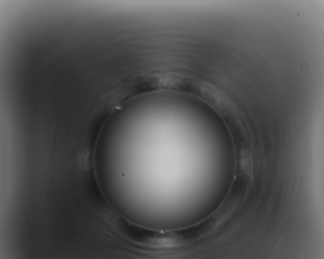 X0000089760514200706281646