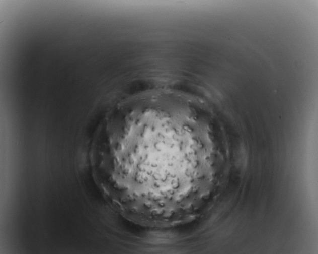 X0000089760515200706281646