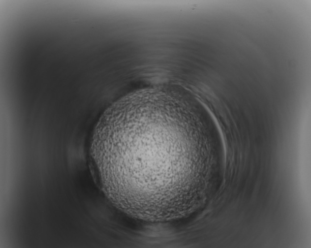 X0000089760516200706281646