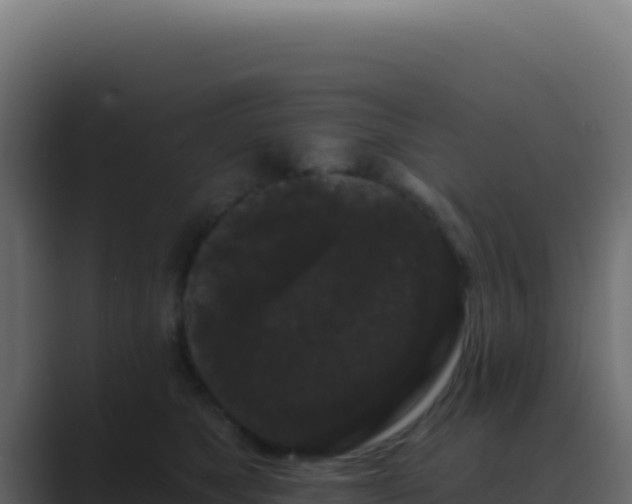 X0000089760517200706281646